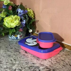 Pink and Purple Lunch Box Set